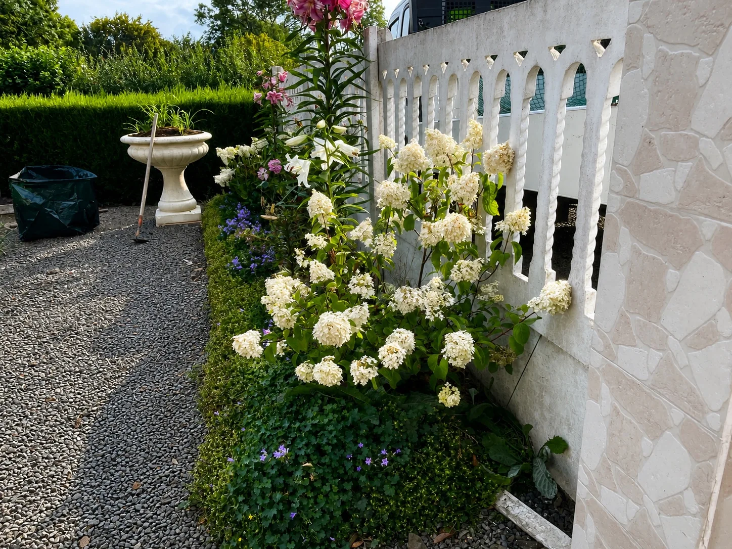 Jardin minéral avant entretien